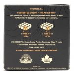 Room 920 – Mushroom Chocolate Bar - Milk Chocolate - 3 Grams | Psychedelic Canada