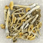 Trinity | Psychedelic Canada