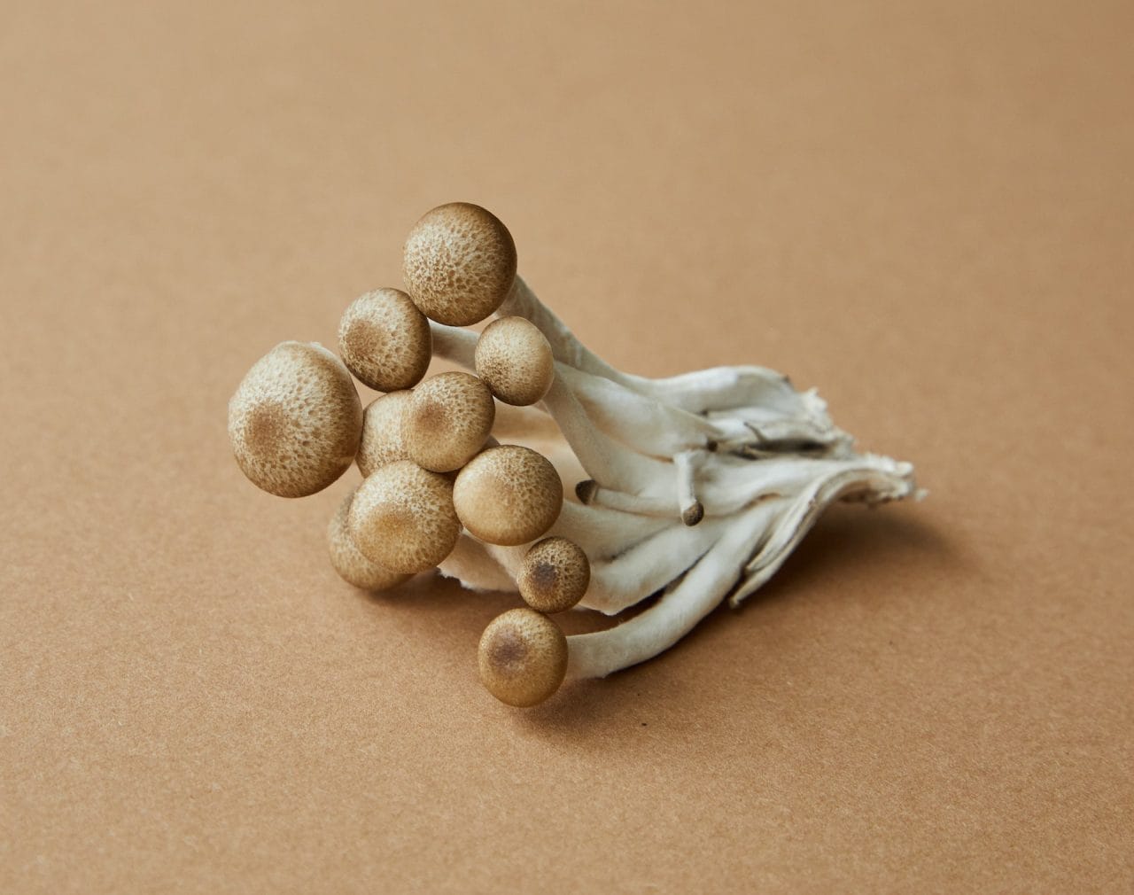 Delving Deeper into Penis Envy: An Analysis of the Most Potent Mushroom Strain