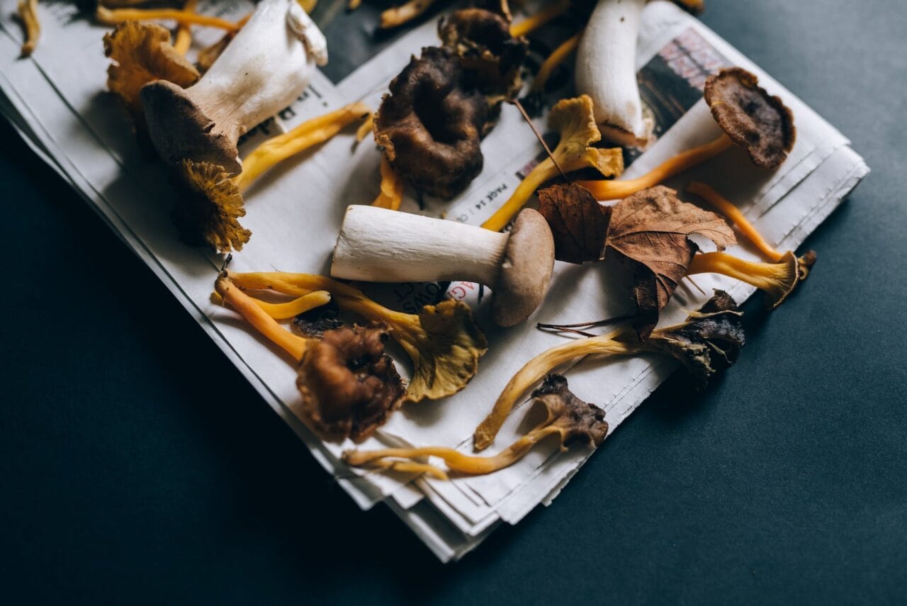 Do Chocolate and Mushrooms Make a Good Pair?