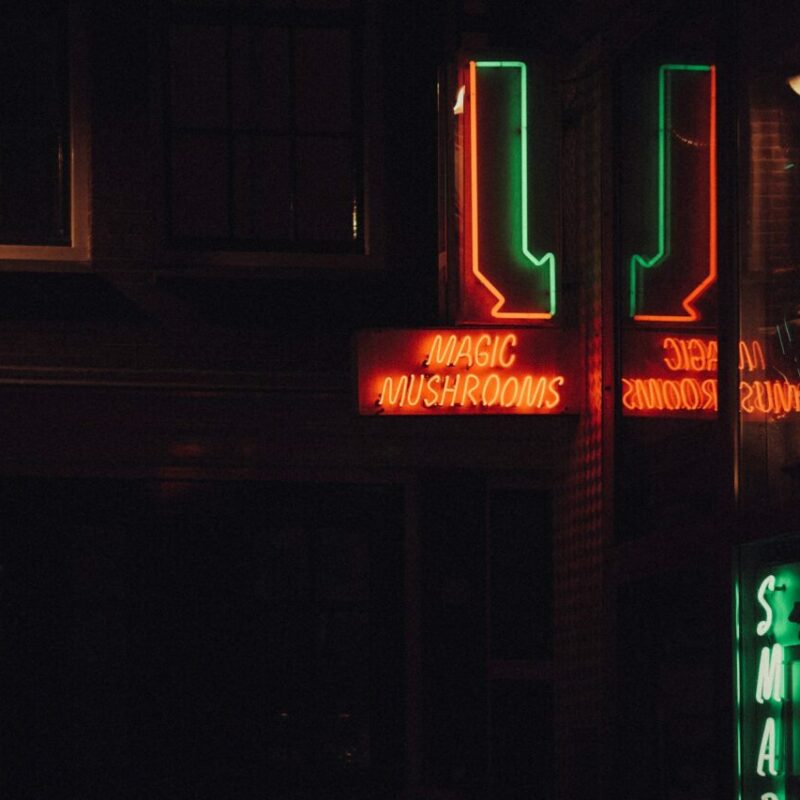 Mushroom Dispensary Vancouver | Psychedelic Canada